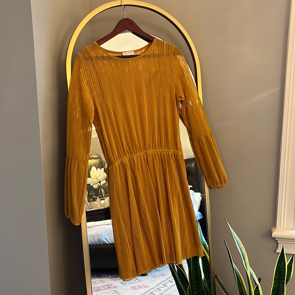 Long sleeve sheer dress